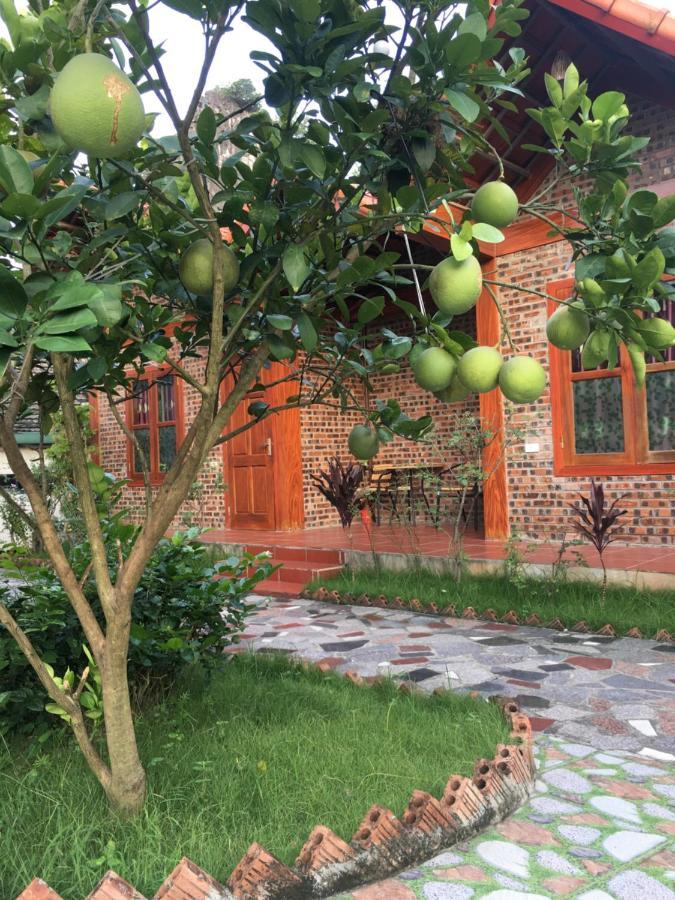 Tam Coc Thanh Dat Homestay Ninh Binh Eksteriør bilde