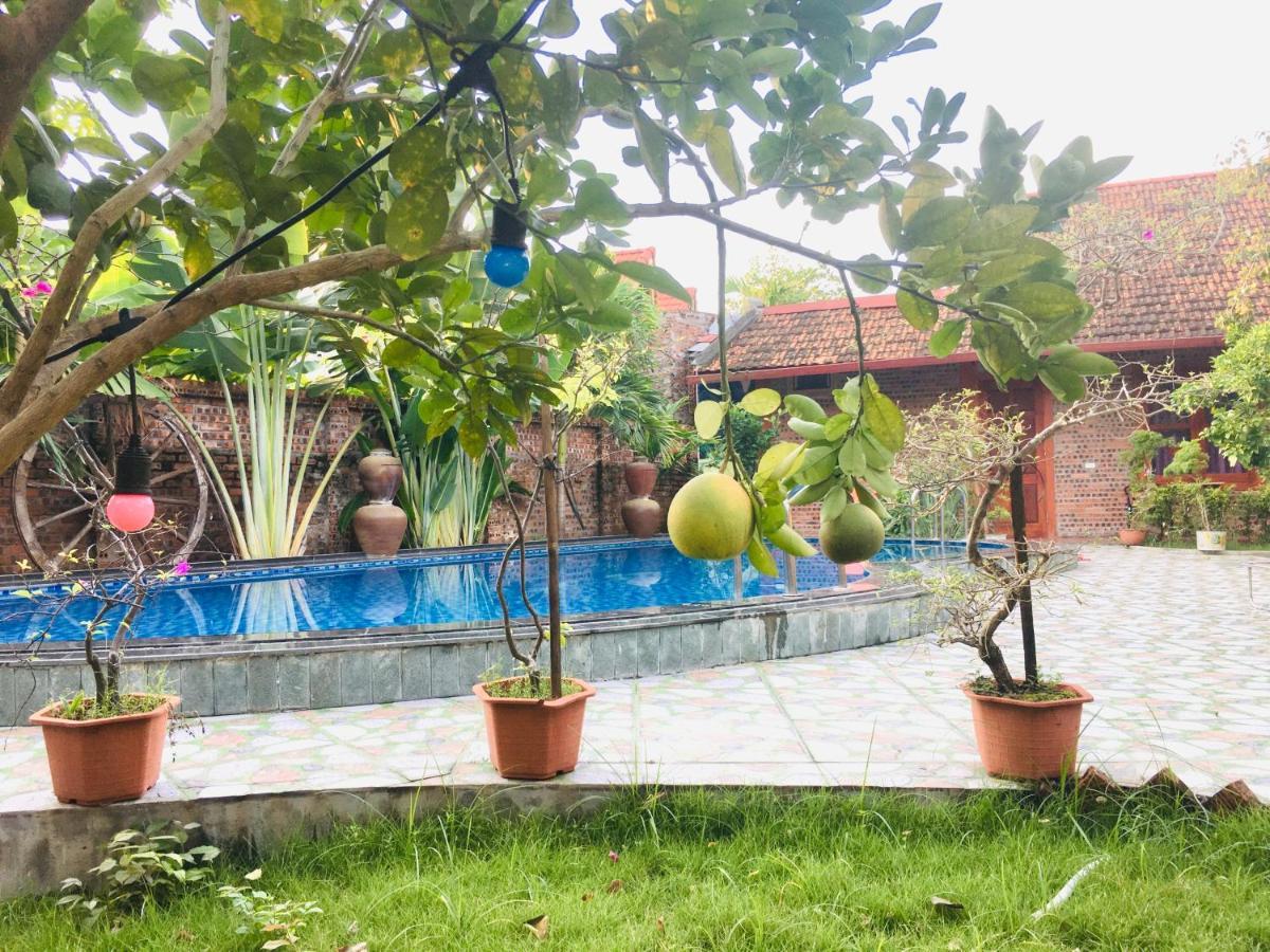 Tam Coc Thanh Dat Homestay Ninh Binh Eksteriør bilde