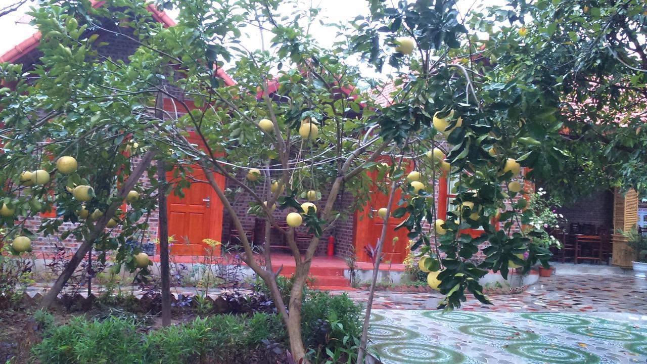 Tam Coc Thanh Dat Homestay Ninh Binh Eksteriør bilde