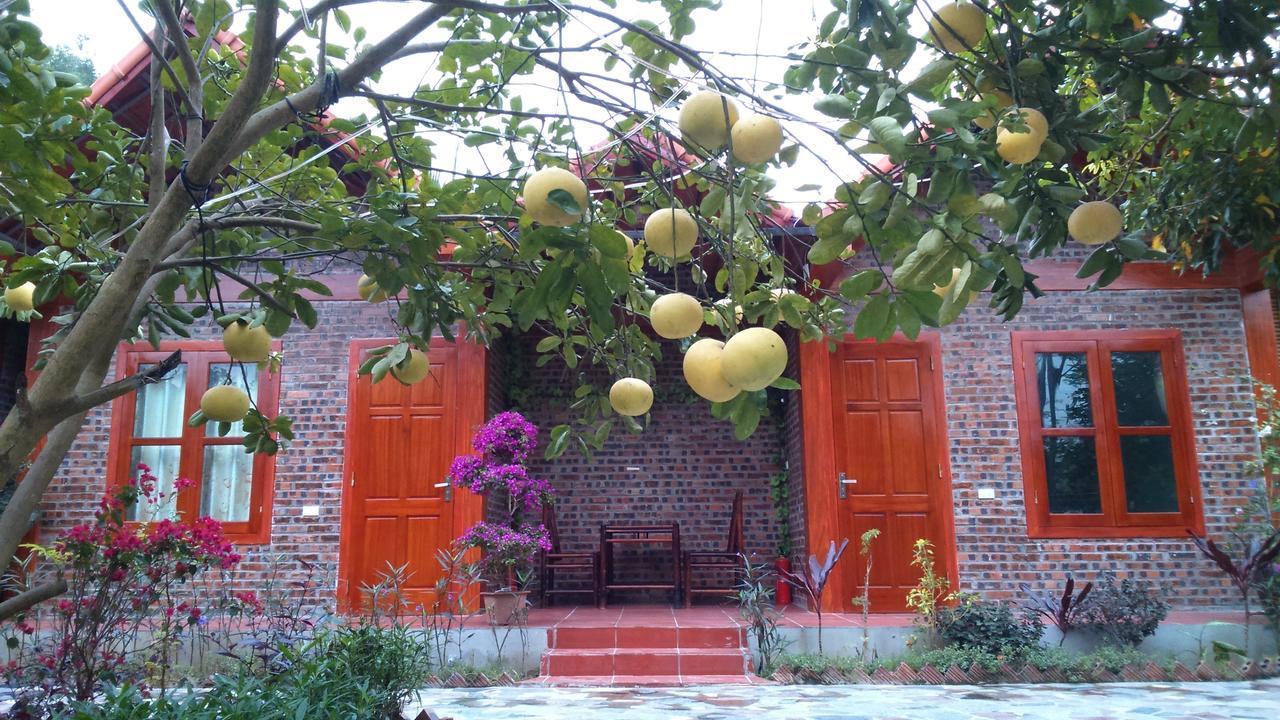 Tam Coc Thanh Dat Homestay Ninh Binh Eksteriør bilde