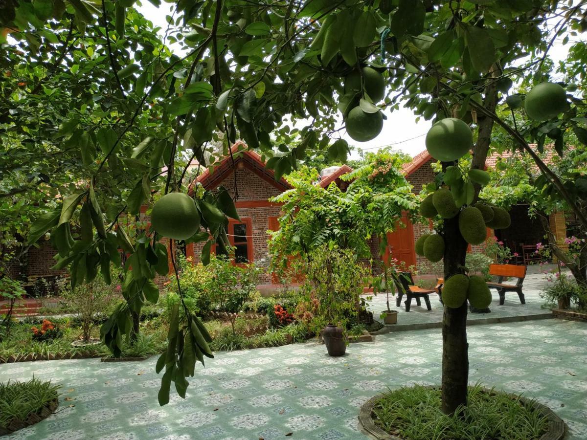 Tam Coc Thanh Dat Homestay Ninh Binh Eksteriør bilde