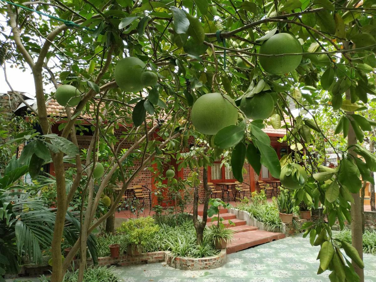 Tam Coc Thanh Dat Homestay Ninh Binh Eksteriør bilde