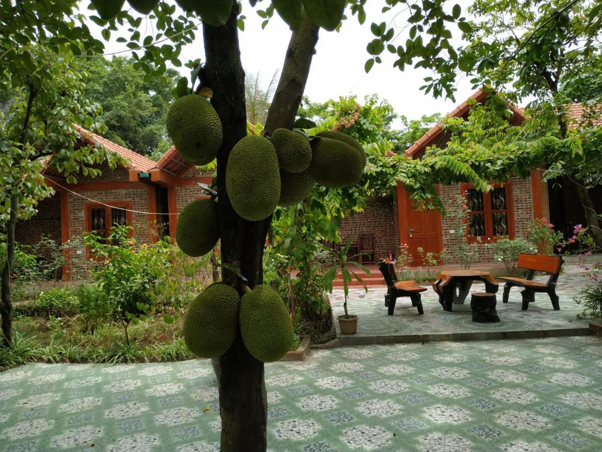 Tam Coc Thanh Dat Homestay Ninh Binh Eksteriør bilde
